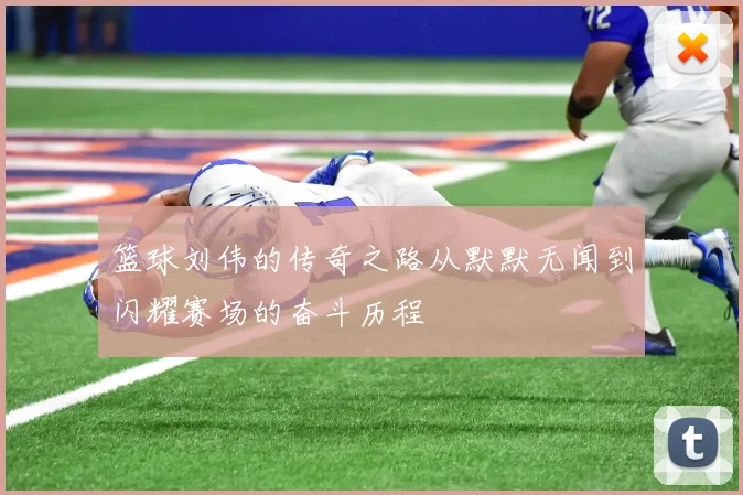 篮球刘伟的传奇之路从默默无闻到闪耀赛场的奋斗历程