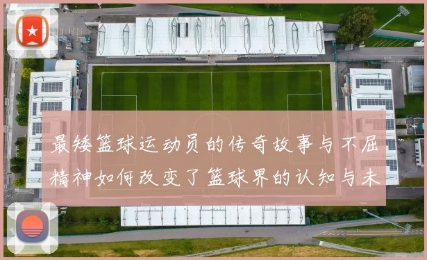 最矮篮球运动员的传奇故事与不屈精神如何改变了篮球界的认知与未来