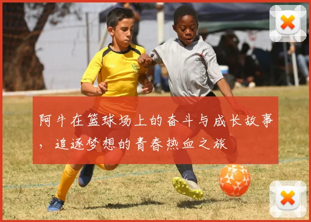 阿牛在篮球场上的奋斗与成长故事，追逐梦想的青春热血之旅