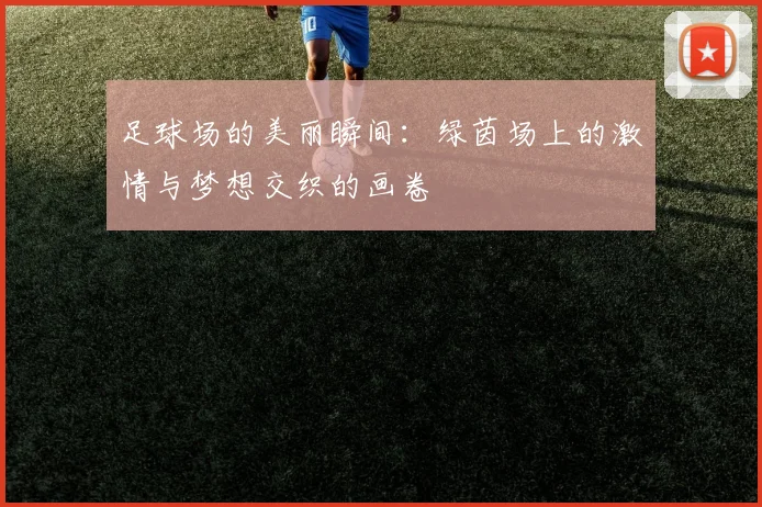足球场的美丽瞬间：绿茵场上的激情与梦想交织的画卷